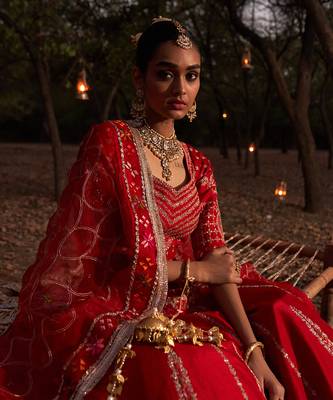 Phulkari Lehenga With Choli 3