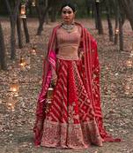 Different Kali Lehenga