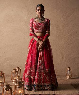 Elephant Lehenga 1