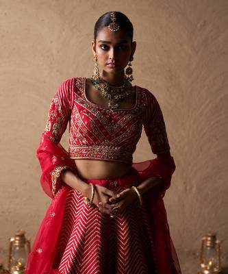 Elephant Lehenga 2