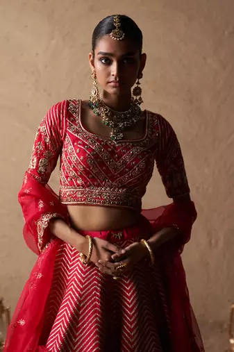 Elephant Lehenga