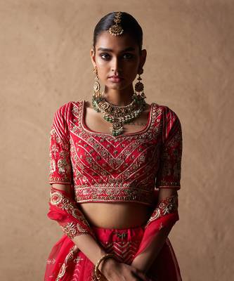 Elephant Lehenga 3