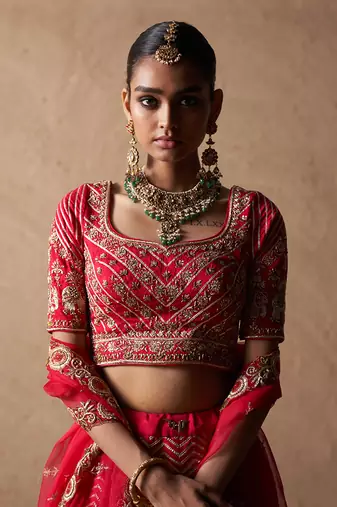 Elephant Lehenga
