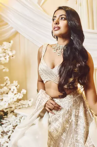 Chestnut White Lines Lehenga Set