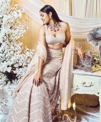 Champagne Taupe Chevron Lehenga Set 3