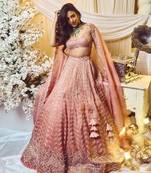 Quartz Pink Deco Lehenga Set