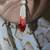 Sarees