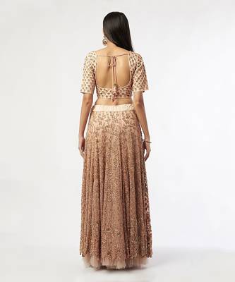 Pink Embroidred Lehenga Set 2