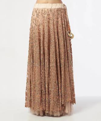 Pink Embroidred Lehenga Set 3