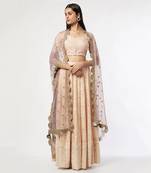 Bpink Chickenkari Embroidered Lehenaga Set