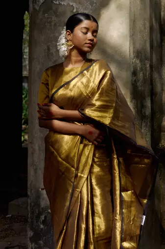 Gold Handloom Tissue Saree Without Blouse
