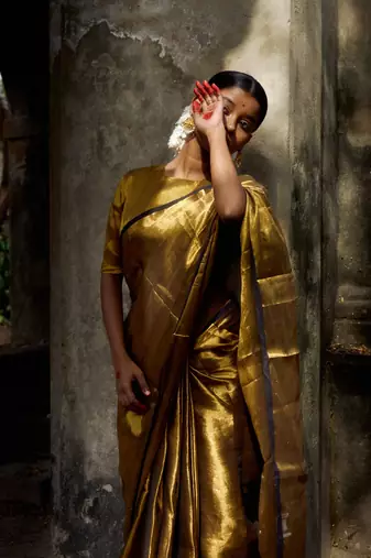 Gold Handloom Tissue Saree Without Blouse