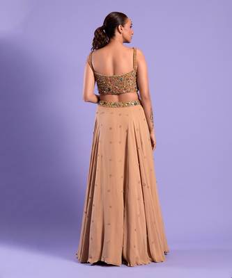Beige Gold Lehenga Set With Stones And Sequence Work 4