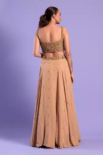 Beige Gold Lehenga Set With Stones And Sequence Work