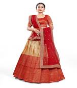 Chiku And Red Designer Banarasi Silk Lehenga Choli By HalfSaree Studio