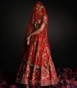 Enchanted Tales Lehenga Set