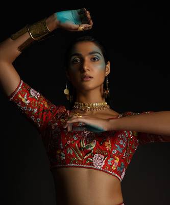Enchanted Tales Lehenga Set 4