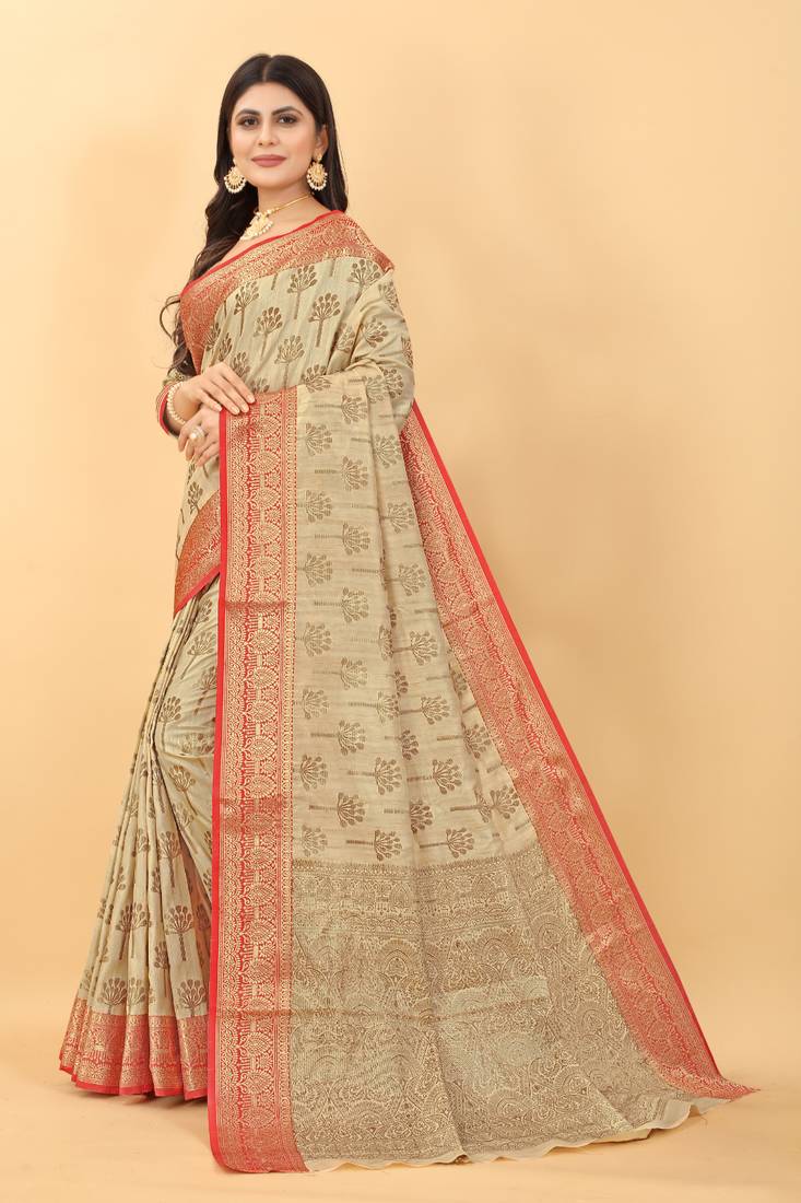 Chicku Kashmiri Chaap Handloom Weaving Saree