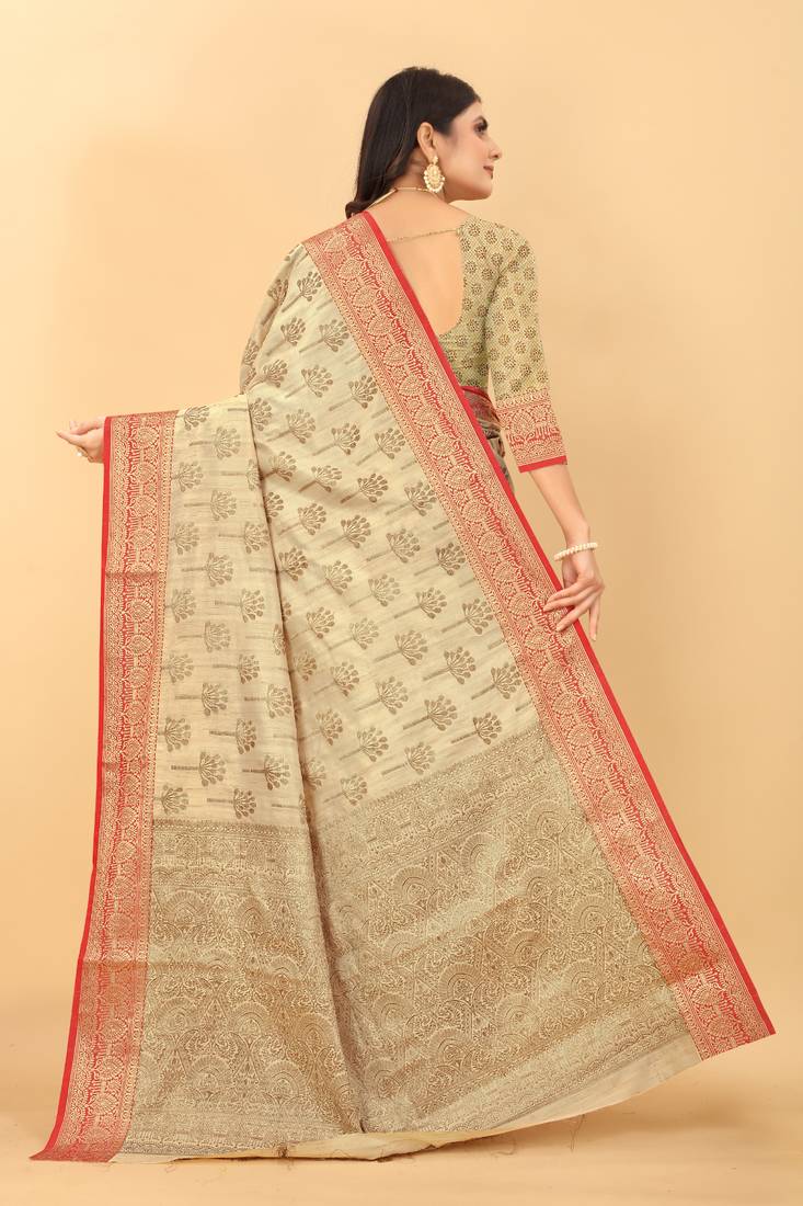 Chicku Kashmiri Chaap Handloom Weaving Saree