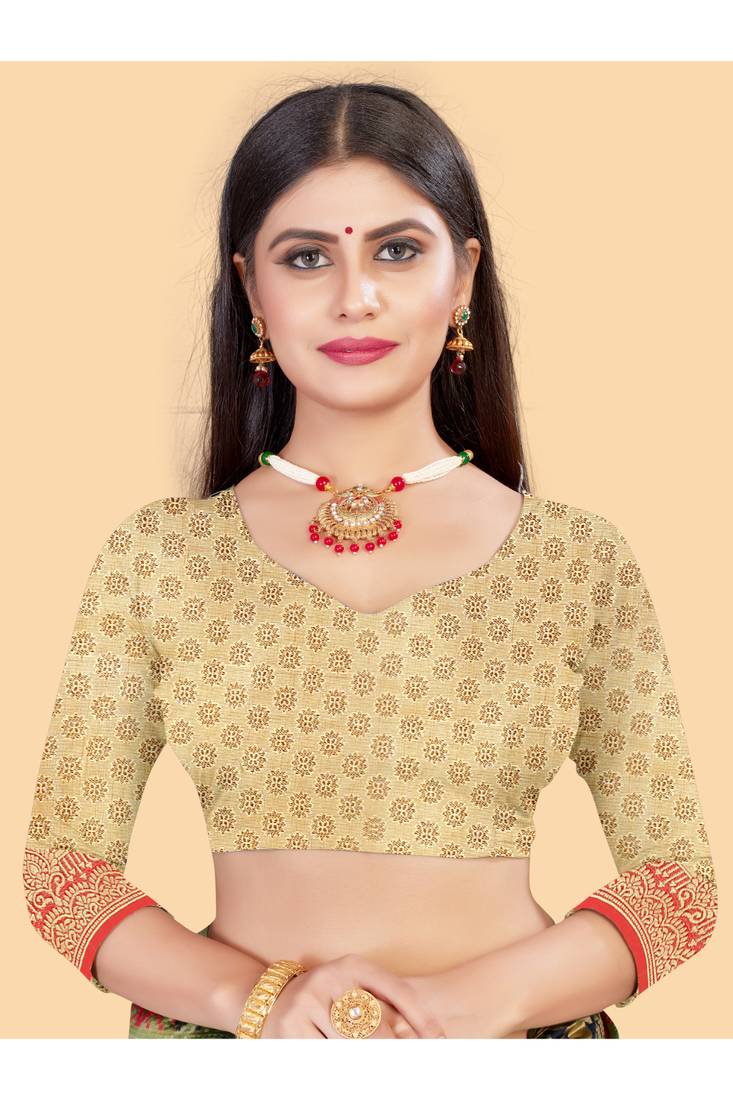 Chicku Kashmiri Chaap Handloom Weaving Saree