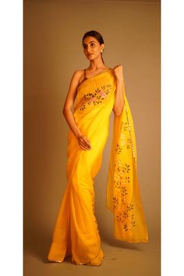 ANOKHI HANDPAINTED SAREE 1