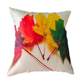 Sb interio Premium Satin Digital Print 16×16 inch combo pack of 05 cushion pillow Cover 2