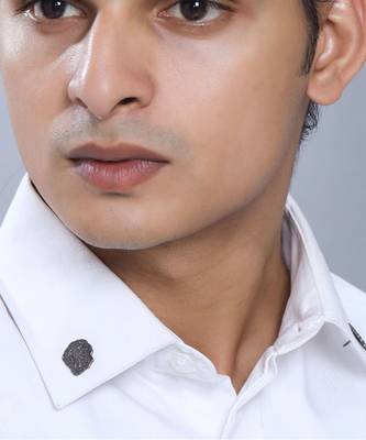 Lion'S Mane Collar Tips 2