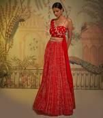 Scarlet Patola One Shoulder Drape Lehenga