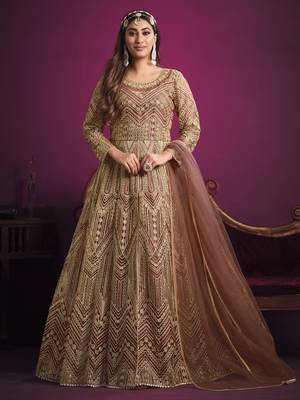 Light-brown embroidered net salwar 1