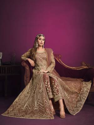 Light-brown embroidered net salwar 4