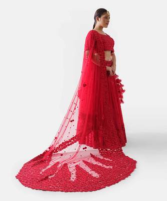 Red Net Bridal Lehenga 2
