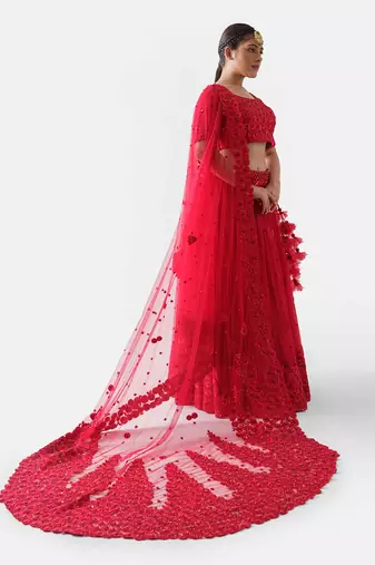 Red Net Bridal Lehenga
