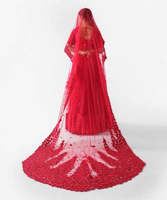 Red Net Bridal Lehenga 5
