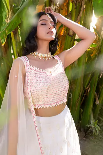Off White Georgette And Net Lehenga Set