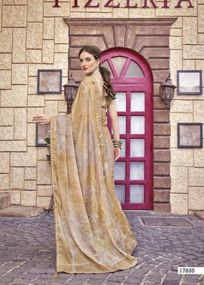 Brown woven chiffon saree with blouse 4