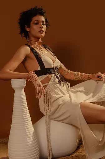 Harness