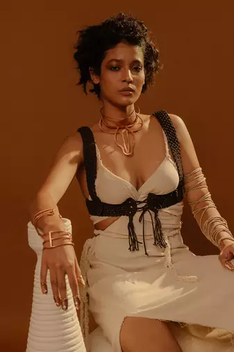 Harness