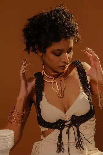 Harness