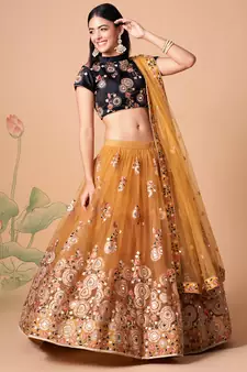 gold net lehenga set choli with dupatta with gold blouse and dupatta