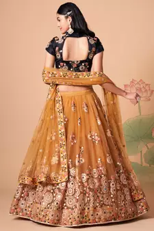 gold net lehenga set choli with dupatta with gold blouse and dupatta