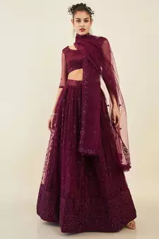 puple embroidered net lehenga set choli with dupatta 