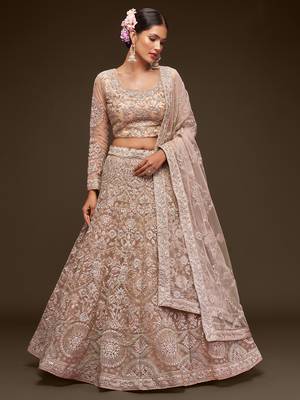  Beige Embroidered Net Lehenga Choli   1