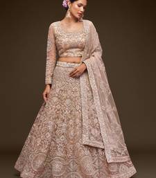  Beige Embroidered Net Lehenga Choli  