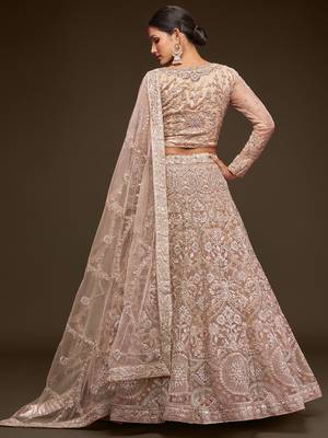 Beige Embroidered Net Lehenga Choli   3