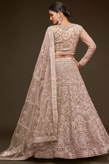  Beige Embroidered Net Lehenga Choli  