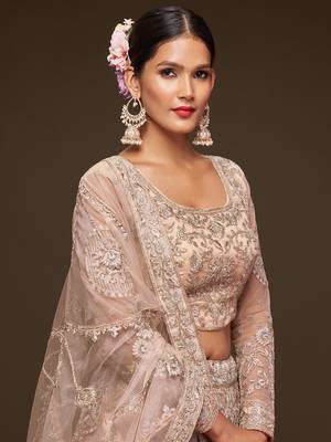  Beige Embroidered Net Lehenga Choli   4