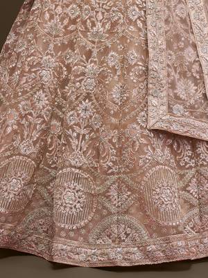  Beige Embroidered Net Lehenga Choli   9