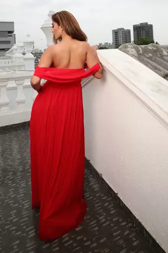 Claudine Red  Gown