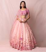 Delphine Soft Pink Satin Organza Set