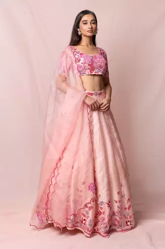 Delphine Soft Pink Satin Organza Set